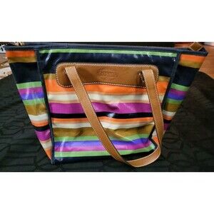 Fossil Women’s Colorful Rainbow Canvas Keyper Purse Striped Handbag Large 1825